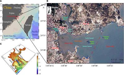 Coupling Relationship of Human Activity and Geographical Environment in Stage-Specific Development of Urban Coastal Zone: A Case Study of Quanzhou Bay, China (1954–2020)